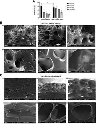 Human epidermal keratinocytes and human dermal fibroblasts interactions seeded on gelatin hydrogel for future application in skin in vitro 3-dimensional model